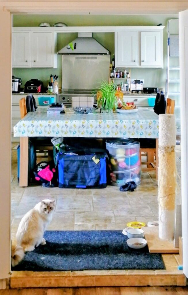 ee5d9a2d-cd10-4db1-abab-05f903754a79