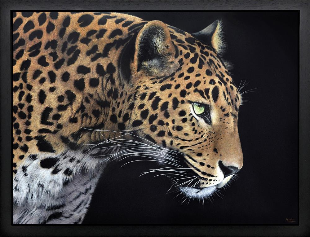 Yala-by-Martin-Robson-1