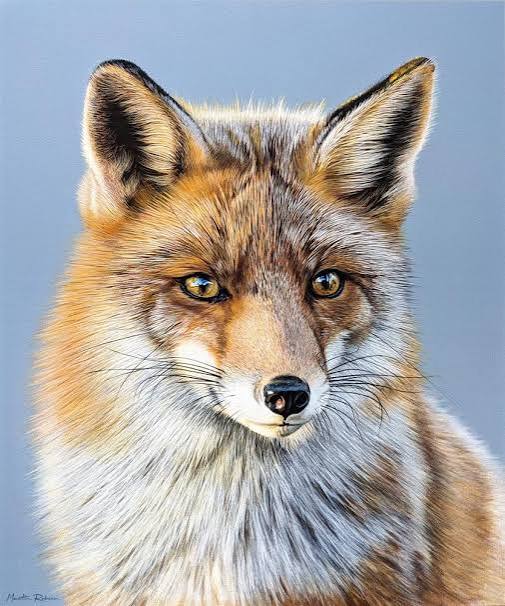 images (5)